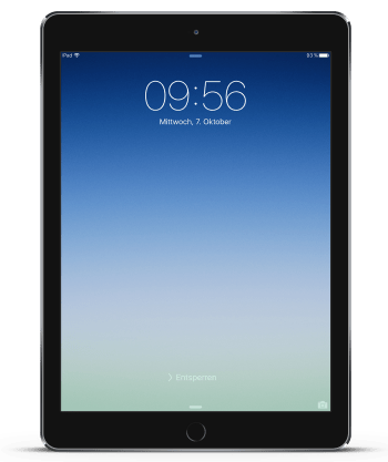 iPad Maintenance - LexiconTech